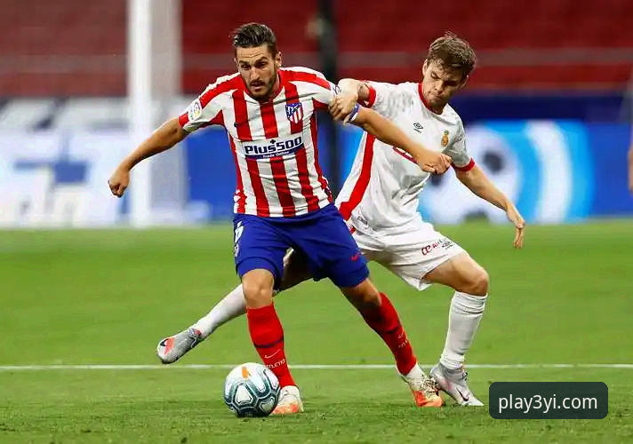 三亿体育平台注册与使用全攻略