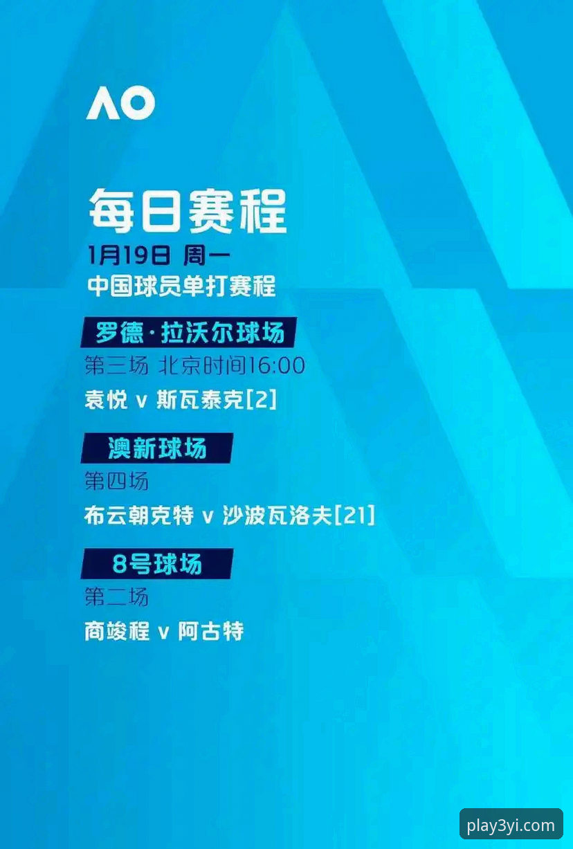 揭秘三亿体育官方平台：2024年体育赛事观看体验深度评测